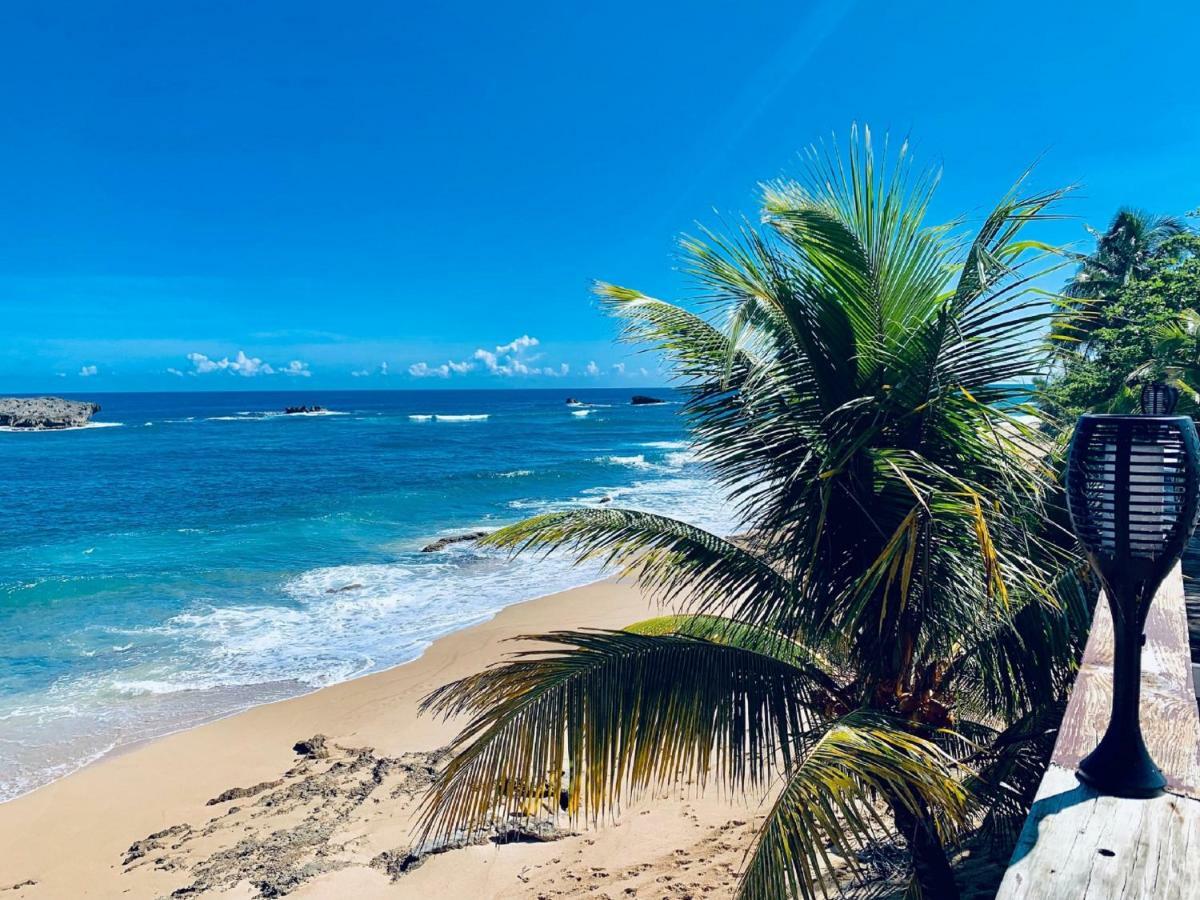 Апартаменты Ventana Al Atlantico At Arecibo 681 Ocean Drive Islote Экстерьер фото